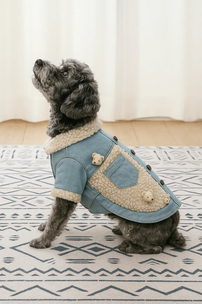 Dogs Clothes