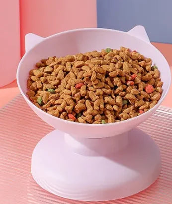 Colorful Cat Dish