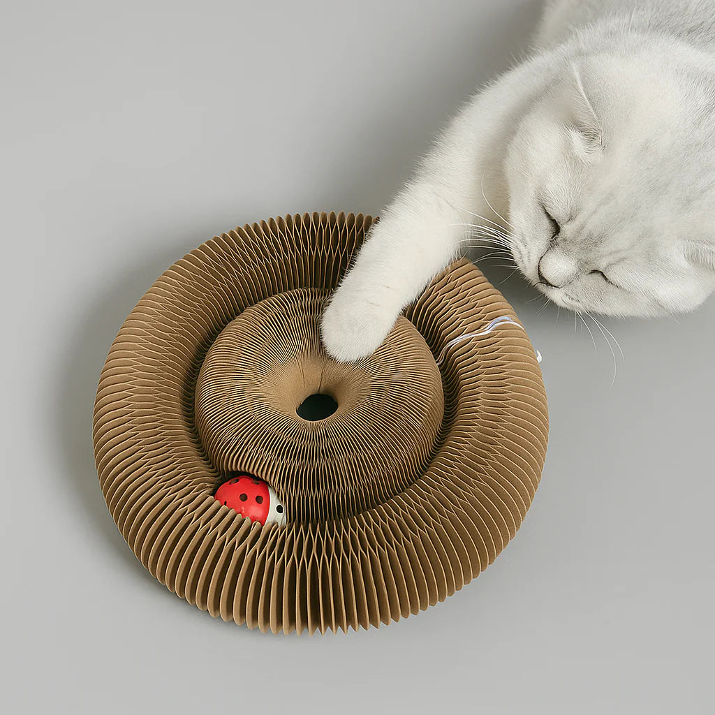 Cat Scratching Board