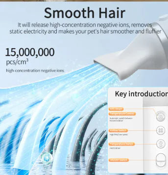 PawDry QuickGroom Dual Pet Dryer